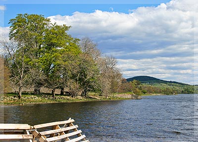 Loch Meiklie Shore